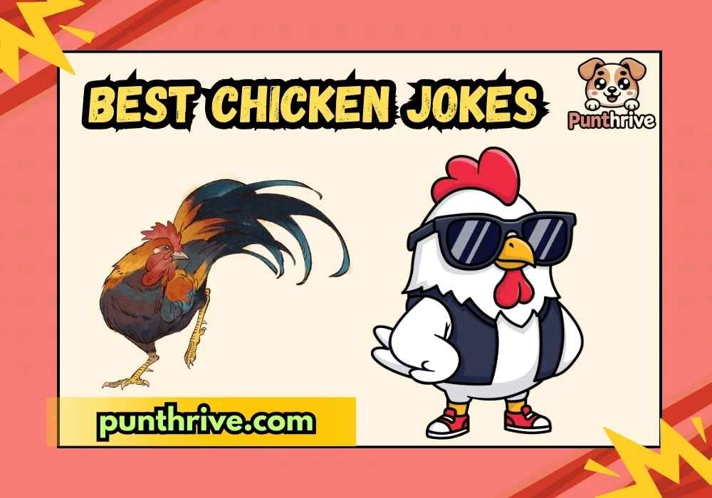 best-chicken-jokes