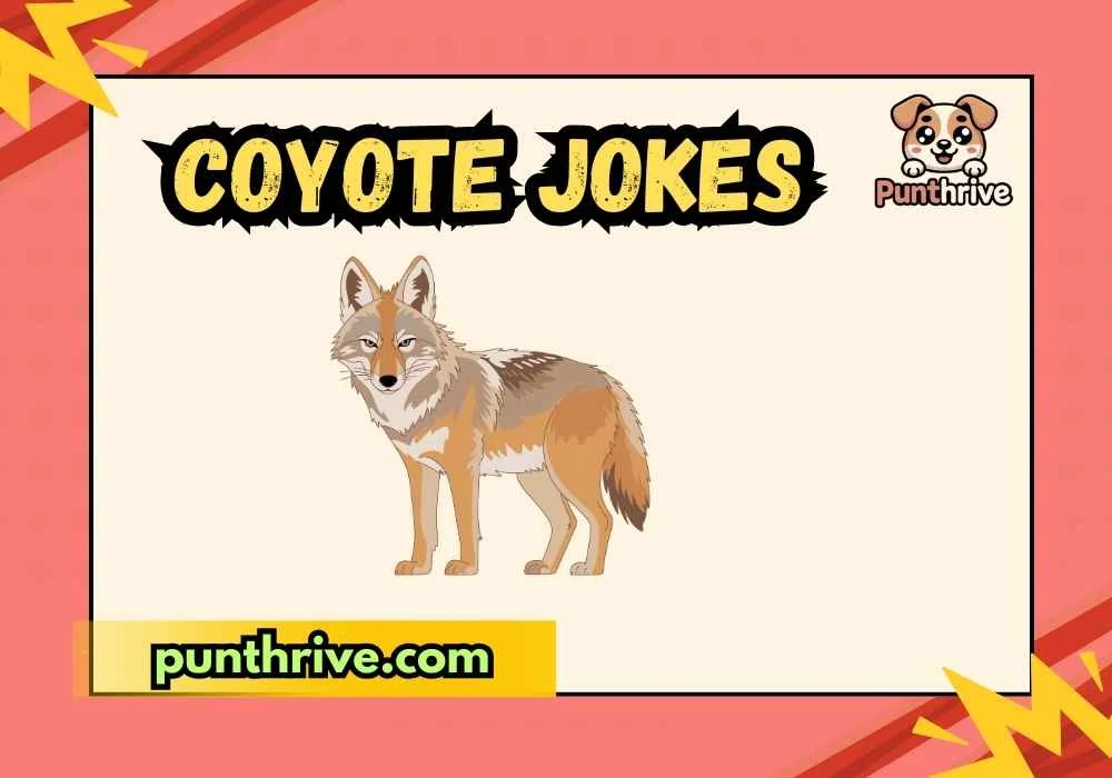 Coyote Jokes