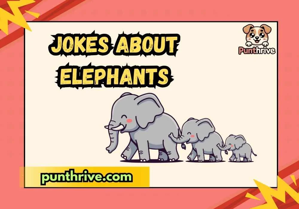 Jokes About Elephants