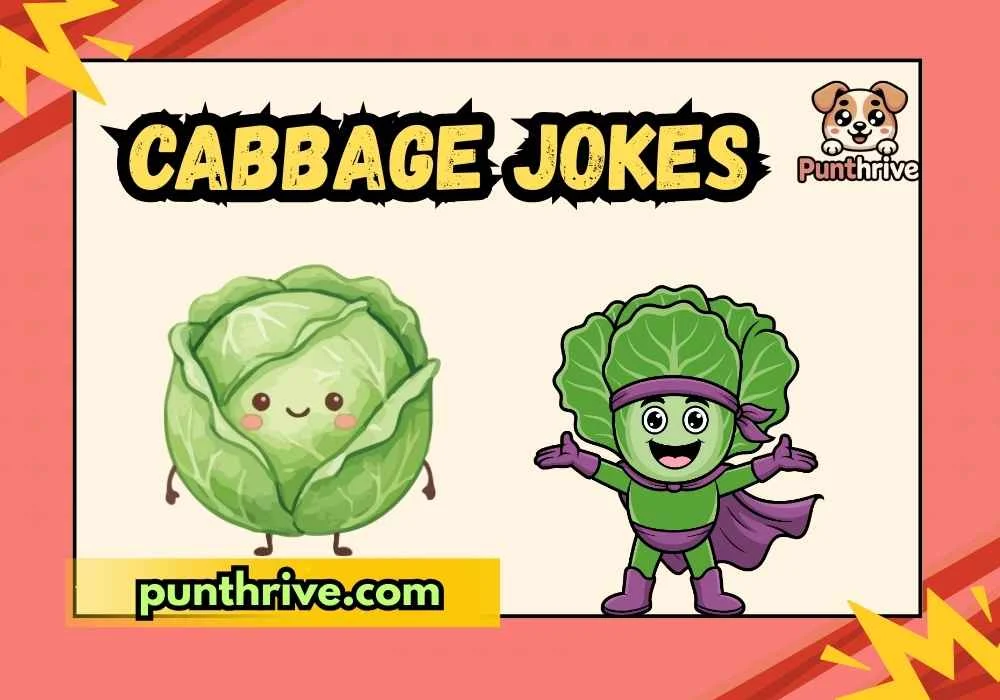 cabbage jokes