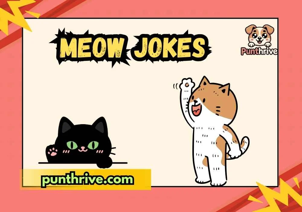 meow jokes