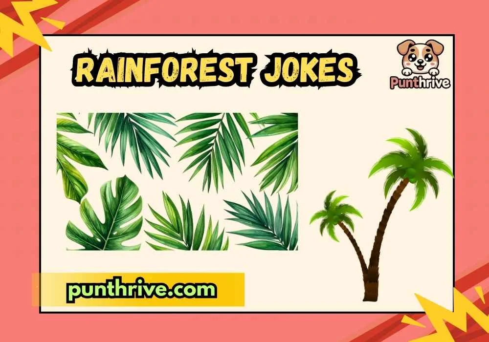 rainforest jokes