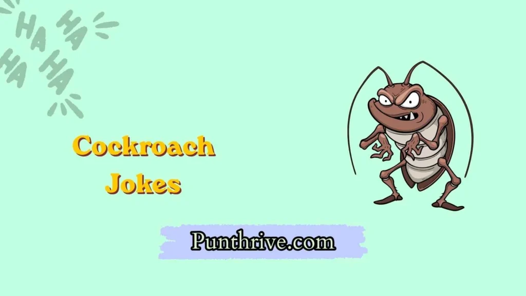 Cockroach Jokes