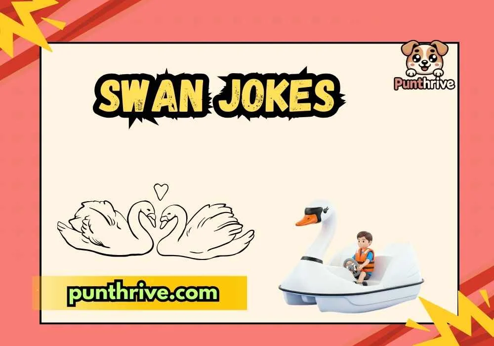 Swan Jokes