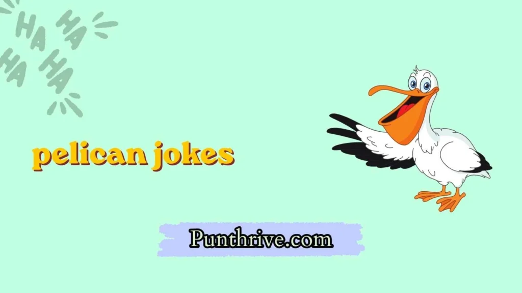 pelican jokes